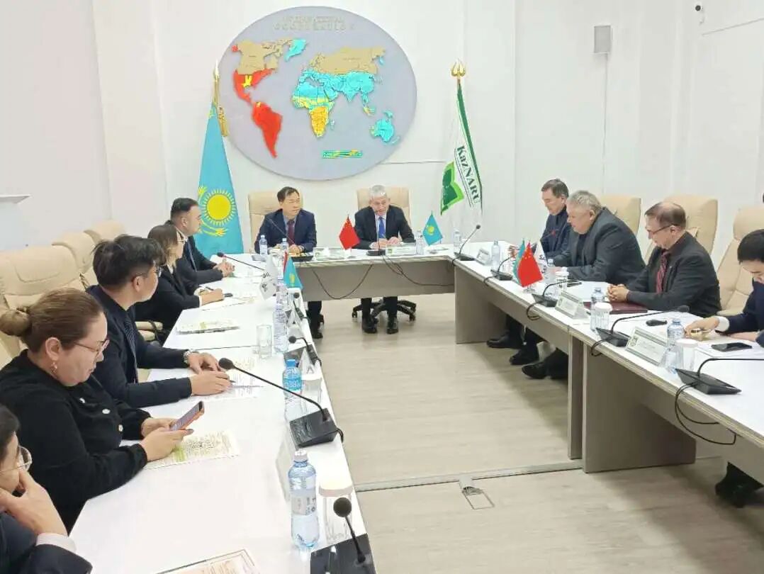 精准对接中亚资源，聚力深耕产业协同 | 中 ...